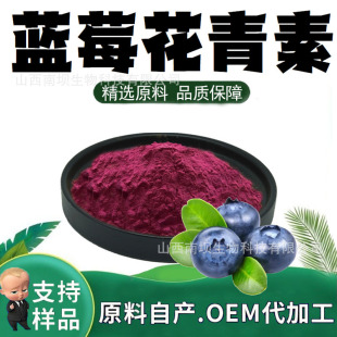 藍莓花青素25%藍莓提取物水溶性食品級抗氧化原料含花色苷現貨