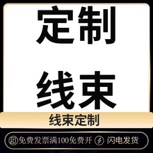 線束汽車連接線對插線接頭線束加工汽車線束電機線束加工