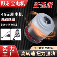 45微型電機無刷直流吸塵器馬達電動工具大扭力氣泵電動機工廠批發