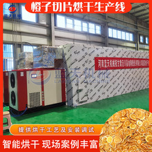 橙子烘干機 橙子清洗切片烘干生產整套設備 大型香橙水果干烘干房