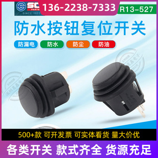 oI R13-527ˮ_P 2_λ_P 6A250V 10A125V_20MM