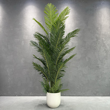 室內客廳仿真綠植散尾葵假植物假樹大型盆栽櫥窗落地裝飾擺件批發