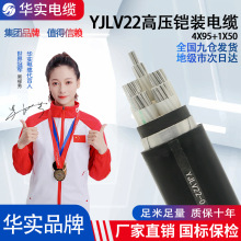 廠家直銷YJLV22 鋁芯絕緣鋼帶鎧裝低壓電纜0.6/1電力工程電線國標