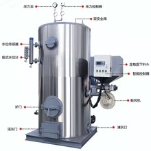 0.5噸1噸2噸廠家工業燃氣蒸汽發生器生物質顆粒燃油電加熱