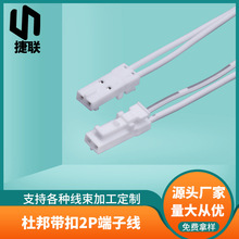 杜邦帶扣2P端子線 TJC8H-TJC8B公母對插線 1007-22WAG 燈帶連接線