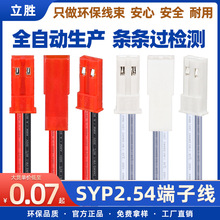 立勝線束廠批發SYP端子線2pin紅杜邦公母對插JST對接線燈具連接線