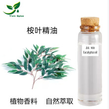 桉葉油 桉樹枝葉水蒸餾萃取所得桉樹精油 尤加利精油