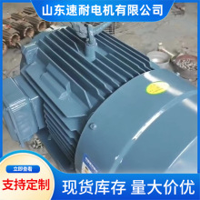 YE3 YE4系列  三相異步電動機  國標純銅全新電機