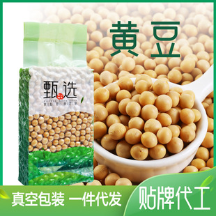 黃豆400克真空包裝東北新米五谷雜糧粗糧豆制品豆漿原料 大豆批發