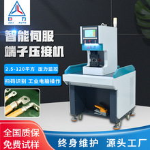 伺服端子機30T大平方端子機六方免換模鉚壓機壓線機電纜壓接機
