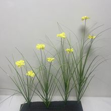 仿真雙頭單支狗尾花桌擺家居櫥窗道具把束蒲葦草仿真洋蔥草