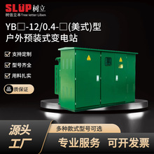 箱式YB/12/0.4美式型戶外預裝式變電站配電箱配電櫃變壓器電氣