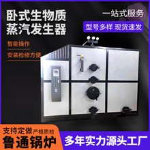 生物質蒸汽發生器混凝土橋梁養護蒸汽燃油蒸汽鍋爐