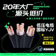 津貓防護專用地下電線 銅芯材質低壓電力電纜YJV4*16抗老化批發