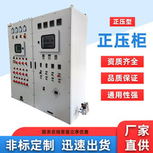 正壓型正壓櫃防爆電氣控制櫃防爆正壓櫃不銹鋼電氣控制正壓櫃