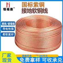 鍍錫裸銅接地軟銅絞線國標紫銅防雷變壓器母線多股連接導電軟圓線
