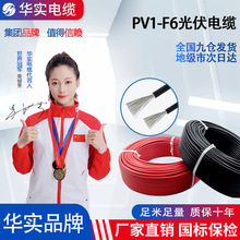 太陽能光伏板電纜線國標太陽能專用電纜pv1-f4平方光伏線纜