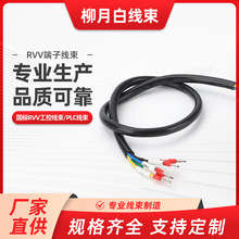 國標RVV工控線束設備線束PLC線束 RJ45轉端子線 RS485信號線 交換