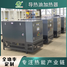定制 雙油泵導熱油爐 電加熱導熱油爐 熱爐工業用導熱油電加熱器