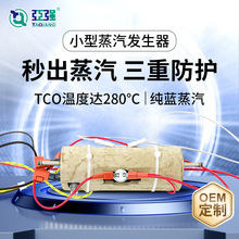 蒸氣發生器商用即熱電鍋爐蒸汽機小型發熱設備 電加熱蒸汽發生器