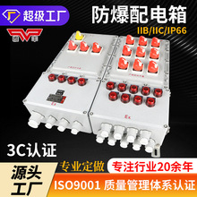 防爆配電箱檢修接線箱動力儀表正壓櫃按鈕控制開關端子盒插座箱廠