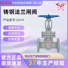 鑄鋼法蘭閘閥Z41H-16C鑄鋼閥門管道開關明桿閘閥碳鋼閘閥 大口徑