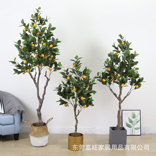 仿真綠植室內檸檬假樹北歐ins客廳落地橘子盆栽擺件裝飾假植物花