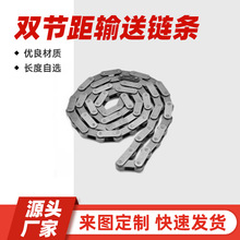 雙節距大小滾子工業傳動輸送鏈條/大小滾珠C2040空芯鏈板
