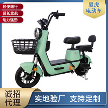 源頭廠家批發外貿新國標助力電動車成人家用輕便型電瓶車鋰電池