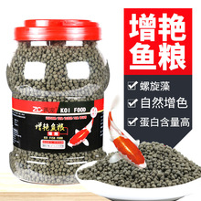 錦鯉飼料增色魚糧魚飼料小顆粒金魚飼料觀賞魚通用型魚缸魚食餌料