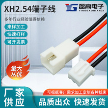 廠家供應 XH2.54端子線  接線端子單頭2P端子線 2.54mm間距