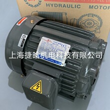 台灣群策S.Y群力 C02-43BO 內軸式2HP 1.5KW 液壓油泵電機