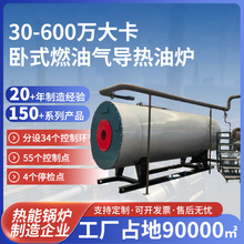 30-600萬大卡卧式燃油氣導熱油爐大型工業燃油鍋爐廠家