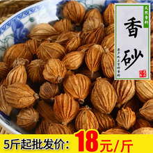 香砂500g沙仁金砂仁四川特產川砂仁燉肉鹵菜調料香料大全批發