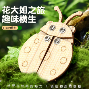 花大姐 科學實驗手兒童diy木質物理學校教具科技小制作科教