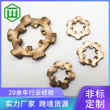專業磷青銅外齒墊片 外菊花帶齒墊圈 外菊花止動墊圈防滑墊片4~12