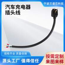 廠家供應汽車插頭線電動車充電延長線插頭YJ-650P 30A/50A電源線
