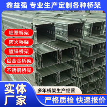 廠家鍍鋅電纜橋架 線槽式金屬橋架熱浸鍍鋅防火電纜鍍鋅橋架批發