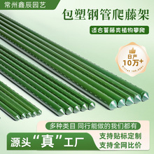 種植支架爬藤植物架子花架園藝包塑鋼支撐桿葡萄豆角番茄庭院瓜架