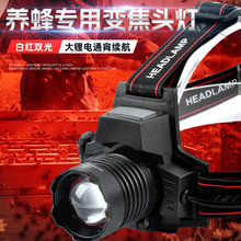 強光頭燈超亮變焦遠射戶外紅光養蜂專用頭戴式防水可充電LED礦燈