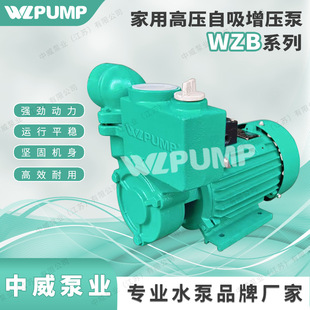 WZB25-60ØIWLPUMPˮøߏ**