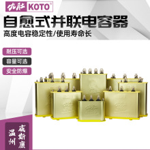 廠家直銷 九肚電容器 管道型電力電容器BSMJWX0.4-30-3