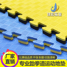 源頭工廠eva跆拳道墊子兒童爬行墊舞蹈體操訓練墊泡沫地墊100*100