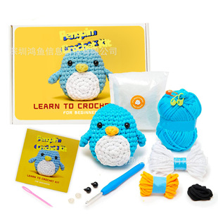 beginner crochet kitWh׼зֲҕl̳ b