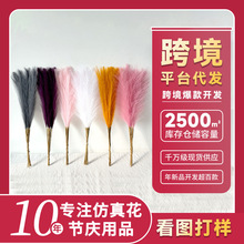 仿真煙花蘆葦跨境款亞馬遜ins風人造蒲葦 潘帕斯草狗尾草櫥窗裝飾