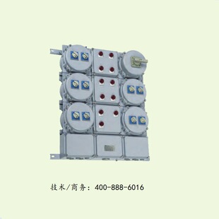 BXM(D)53ϵз(),ATEX,IECExQ