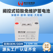 奧克萊12V33AH鉛酸蓄電池太陽能鉛酸膠體電池UPS免維護鉛酸電池