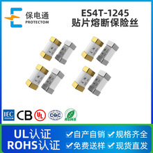 批發ES4T-1245系列汽車保險絲60A 80A 100A一次性貼片熔斷保險絲