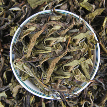 批發冰島生普老黃菲雲南古樹普洱茶生茶散茶甜黃金葉老黃片散裝