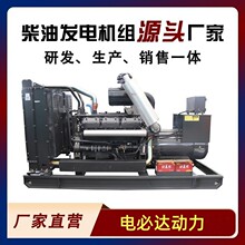 30千瓦起做柴油發電機組一線品牌上柴發電機全銅無刷降噪型100KW